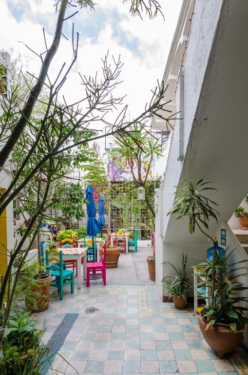 Casa De Don Pablo Hostel Oaxaca Esterno foto