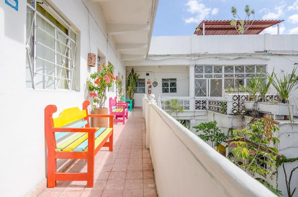 Casa De Don Pablo Hostel Oaxaca Esterno foto